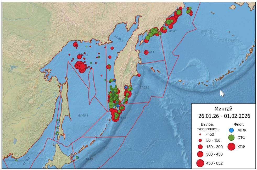  Распределение флота (МТФ – малотоннажный, СТФ – среднетоннажный, КТФ – крупнотоннажный флот) на промысле минтая в Дальневосточном рыбохозяйственном бассейне 26 января – 1 февраля 2026 г.