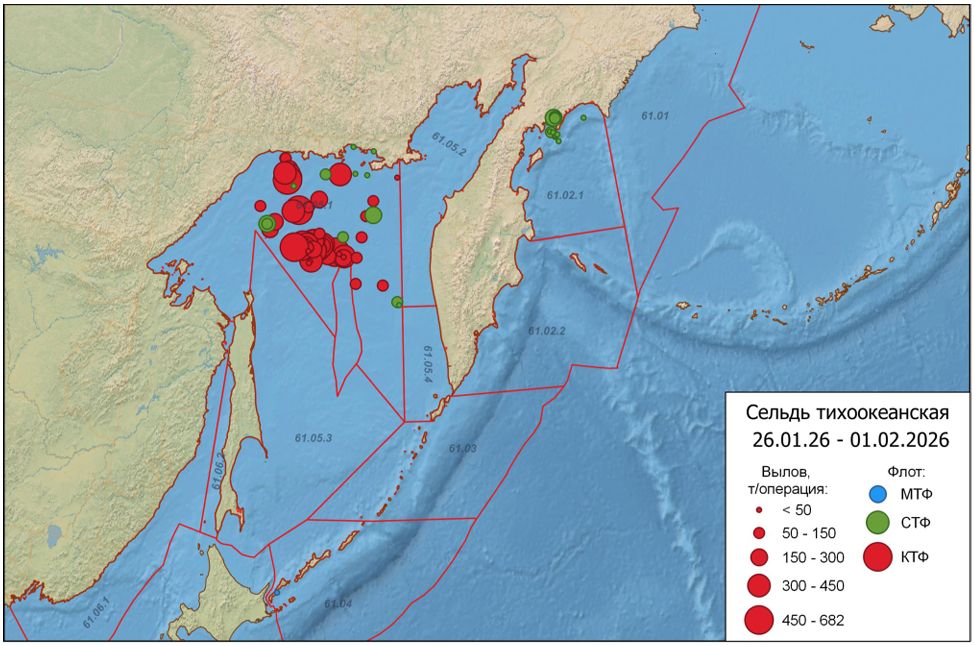 Распределение флота (МТФ – малотоннажный, СТФ – среднетоннажный, КТФ – крупнотоннажный флот) на промысле сельди в Дальневосточном рыбохозяйственном бассейне 26 января – 1 февраля 2026 г.
