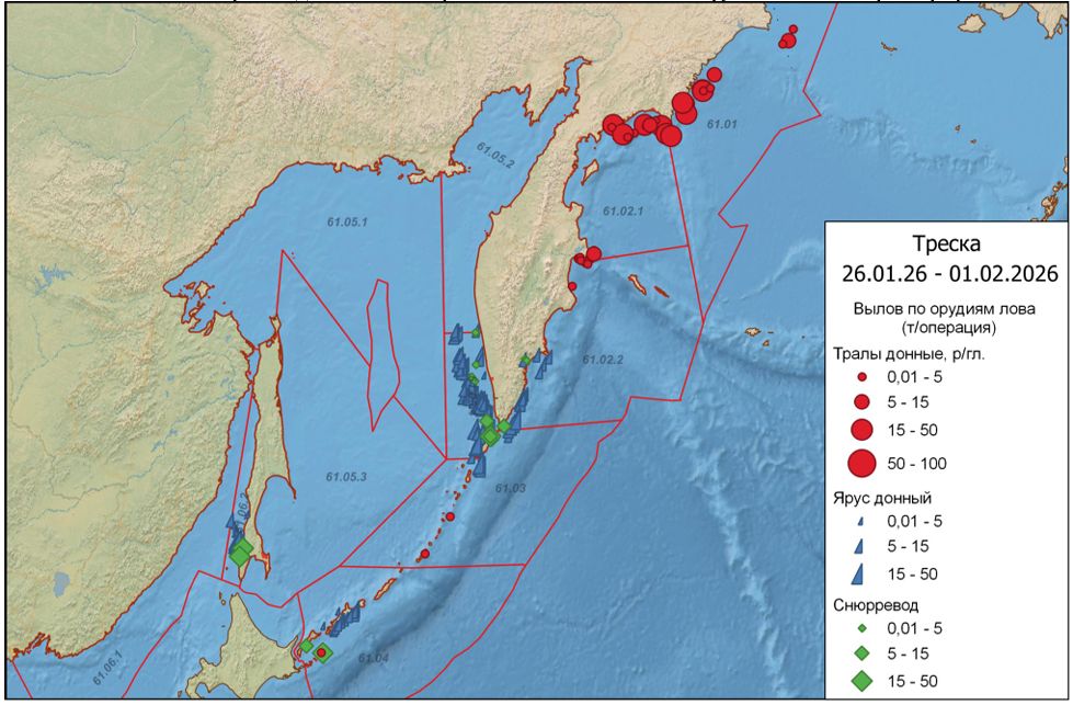  Вылов тихоокеанской трески в Дальневосточном рыбохозяйственном бассейне по орудиям лова 26 января – 1 февраля 2026 г