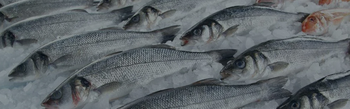 Рыба оптом оптом от производителя Атлант-Фиш