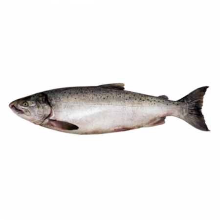 рыба кижуч от производителя Атлант